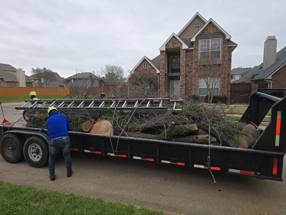 Expert Tree Fertilization with proper safety equipment in Hardy